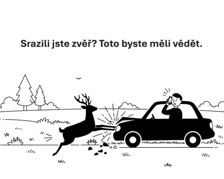 Srazili jste zvěř? Neodjíždějte – volejte ihned Policii!